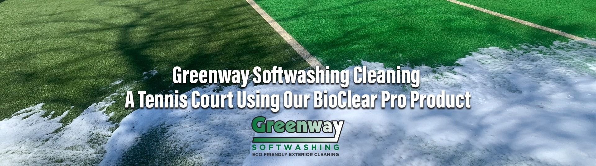 Pexels Tom Fisk 3507477