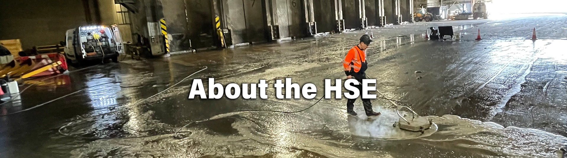 About The HSE