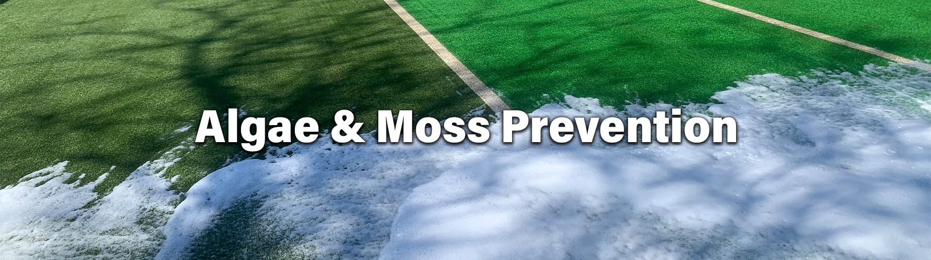 Algae & Moss Prevention