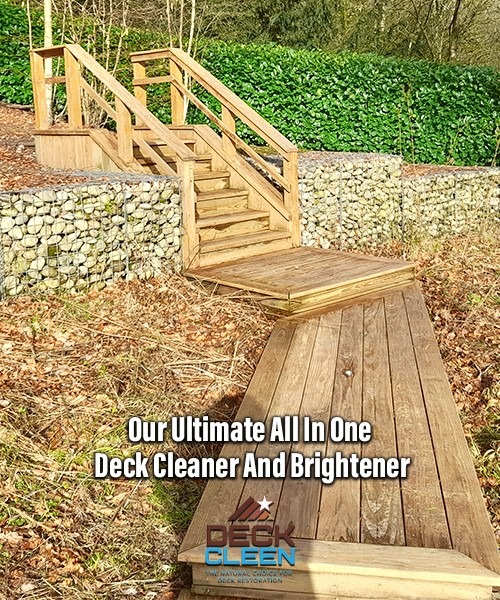 258854911 438679117766005 3721971799337444338 N