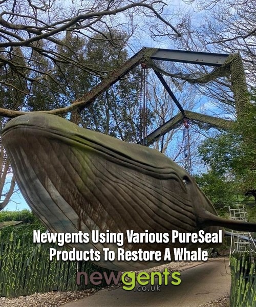 Shutterstock 1050650321